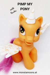 Pony zum EInhorn gepimt